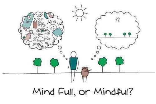 You are currently viewing Be mindful each day